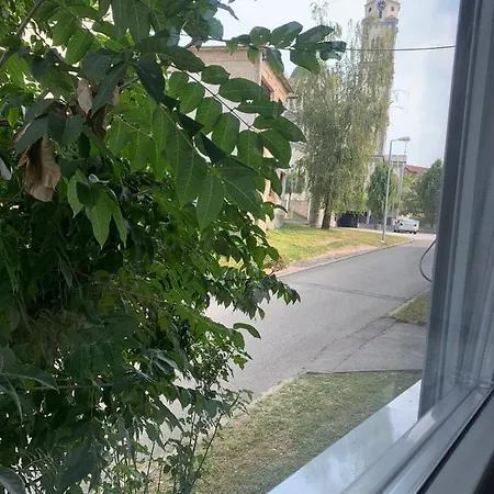 Apartment Stan Na Dan Trg