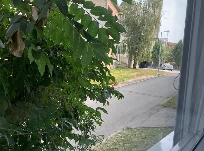 Apartman Stan Na Dan Trg